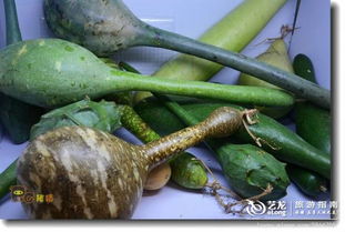 2012佛山安全食用農產品博覽會 構建零售新橋梁，守護舌尖上的安全