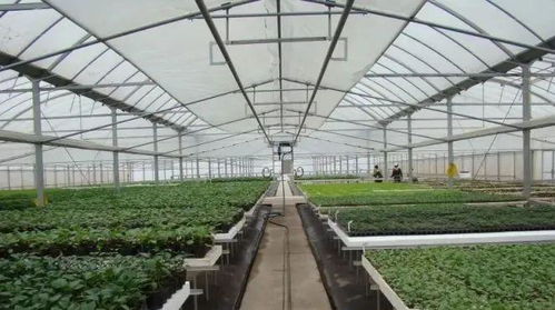 蘇州市首張食用農產品電子合格證在常熟正式啟用，開啟零售新篇章