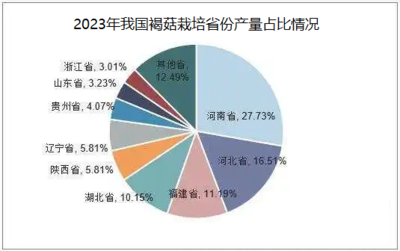 2024年褐菇市場分析 批發(fā)價(jià)穩(wěn)健，消費(fèi)潛力待深挖